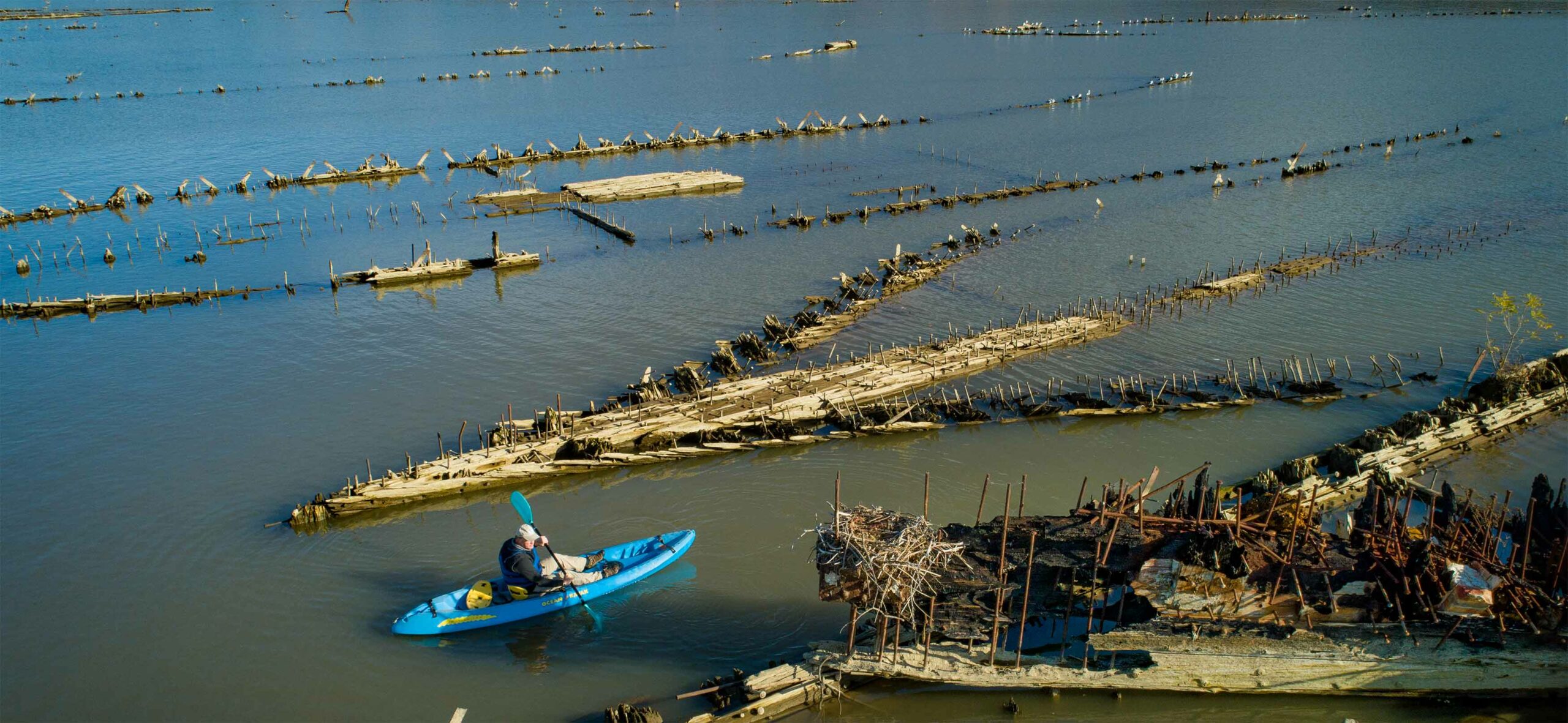 explore the Shipwrecks virtually